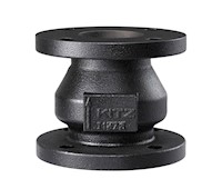 8910 - Silent Check - Class 125 Cast Iron