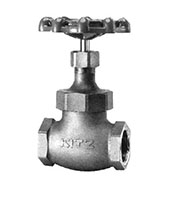 17_Globe-Valve