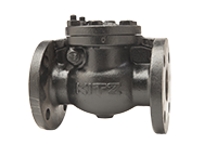 Check Valves-Iron-78