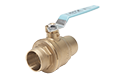 Ball Valve - LF - 869/869M