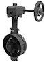 Butterfly Valve_Gear