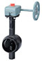 G300SG - Butterfly Valve